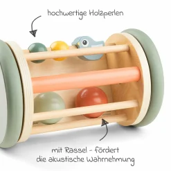 Activity-Spiegel Rolle - Birdee