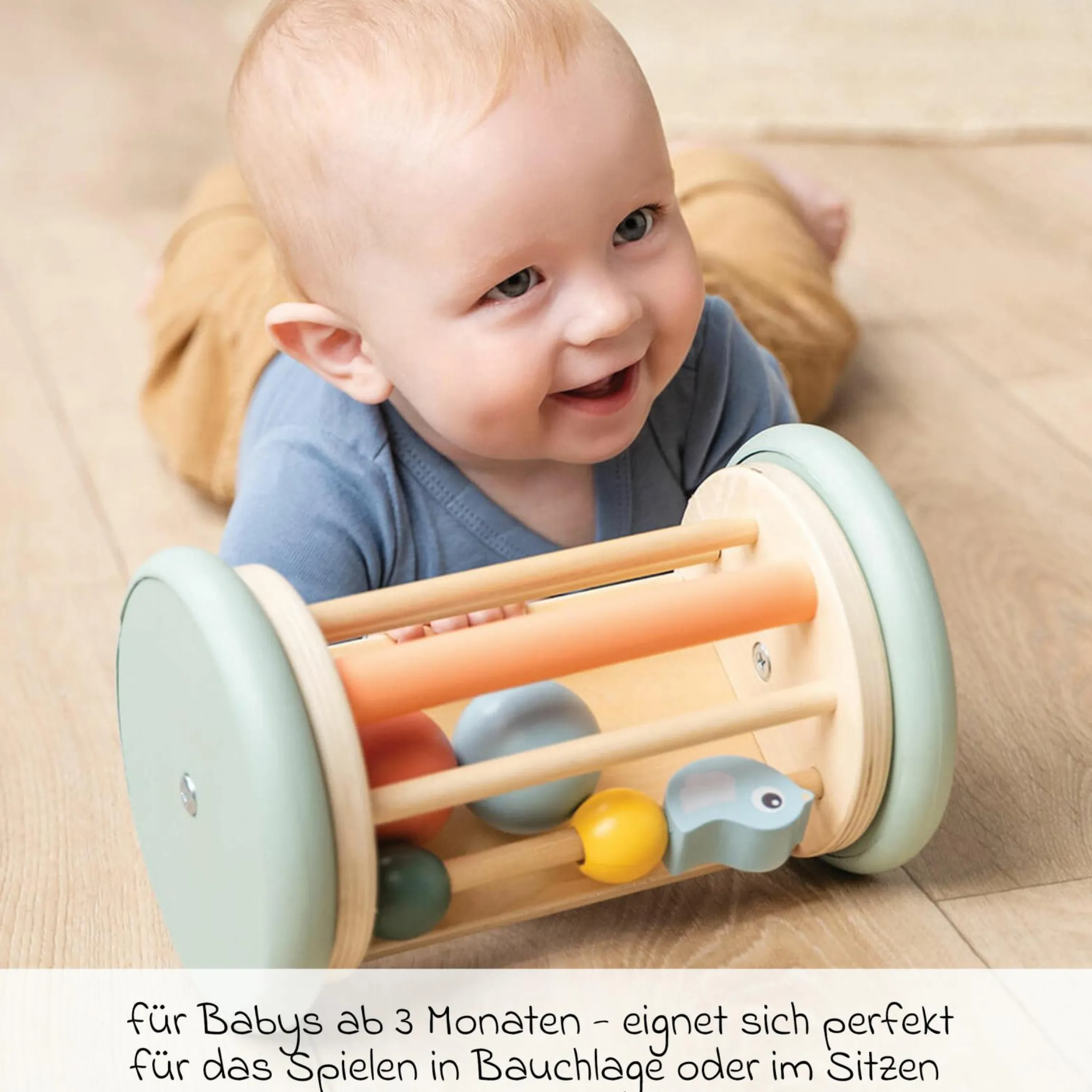 Activity-Spiegel Rolle - Birdee