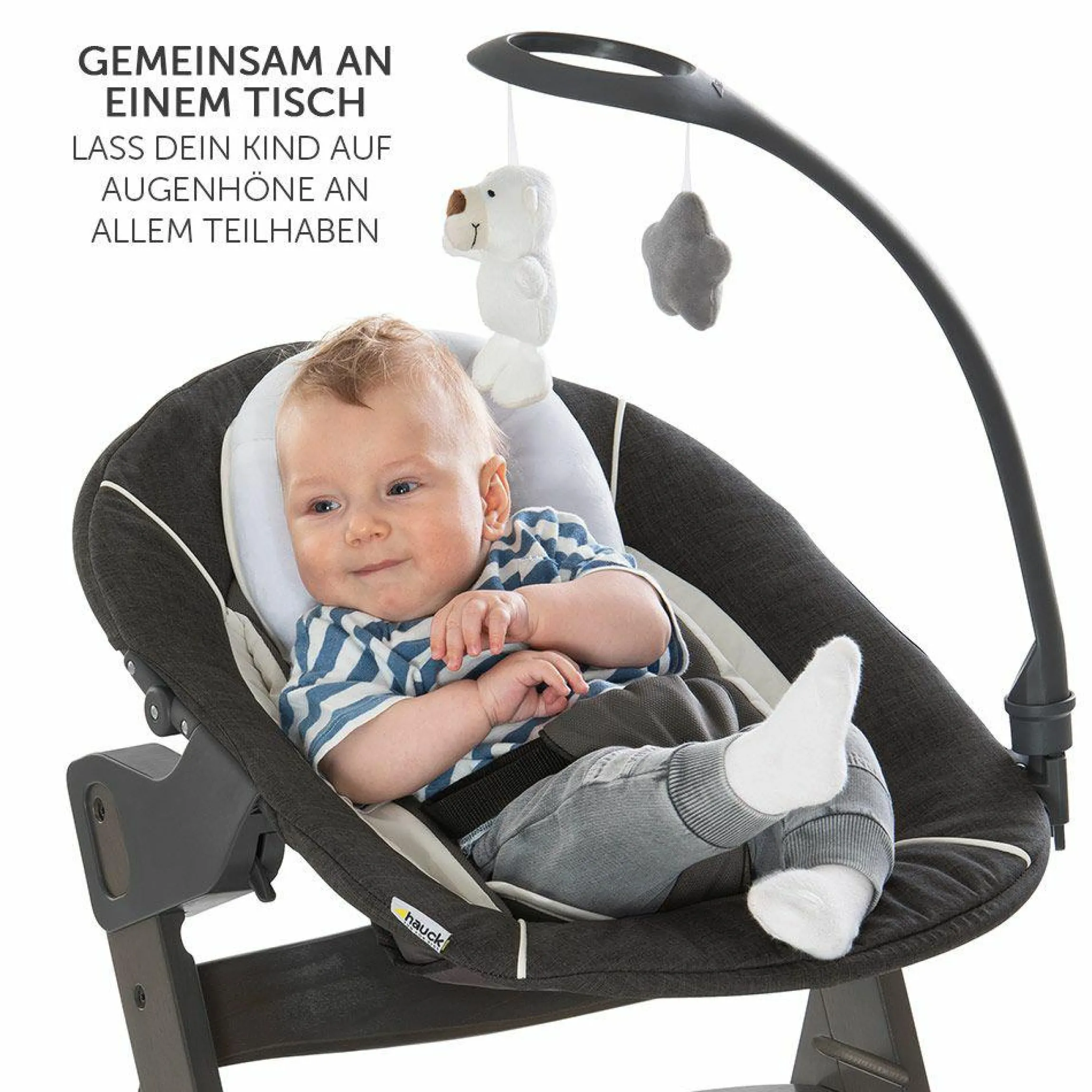 Alpha Charcoal Selectline Newborn Set Deluxe - 4-tlg. Hochstuhl + 2in1 Neugeborenenaufsatz (verstellbar) + Sitzpolster