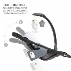 Alpha Charcoal Selectline Newborn Set Deluxe - 4-tlg. Hochstuhl + 2in1 Neugeborenenaufsatz (verstellbar) + Sitzpolster