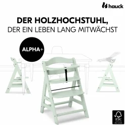 Alpha Plus Mint 4-tlg. Newborn Set - Hochstuhl + 2in1 Babyaufsatz & Wippe + Sitzkissen - Stretch Grey