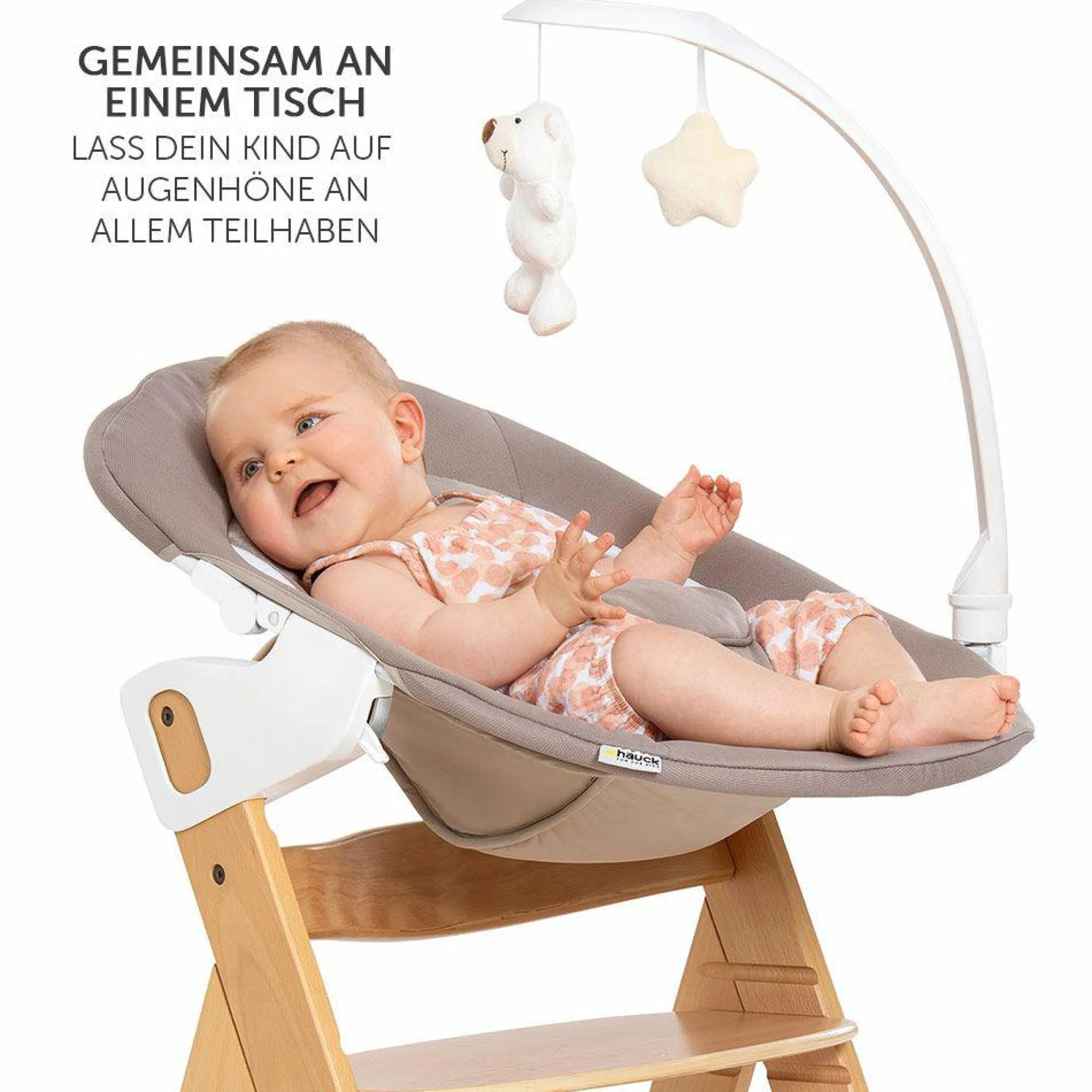 Alpha Plus Natur Newborn Set Deluxe - 4-tlg. Hochstuhl + Neugeborenenaufsatz (Rückenlehne verstellbar) + Sitzkissen