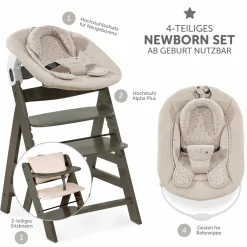 Alpha Plus Select Charcoal 4-tlg. Newborn Set Disney Pooh - Hochstuhl + Neugeborenenaufsatz + Sitzkissen Beige