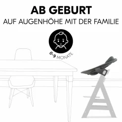 Alpha Plus Walnut 4-tlg. Newborn Set Dark Grey - Hochstuhl + Neugeboreneneinsatz & Wippe Premium + Sitzkissen