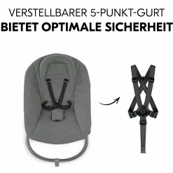 Alpha Plus Walnut 4-tlg. Newborn Set Dark Grey - Hochstuhl + Neugeboreneneinsatz & Wippe Premium + Sitzkissen
