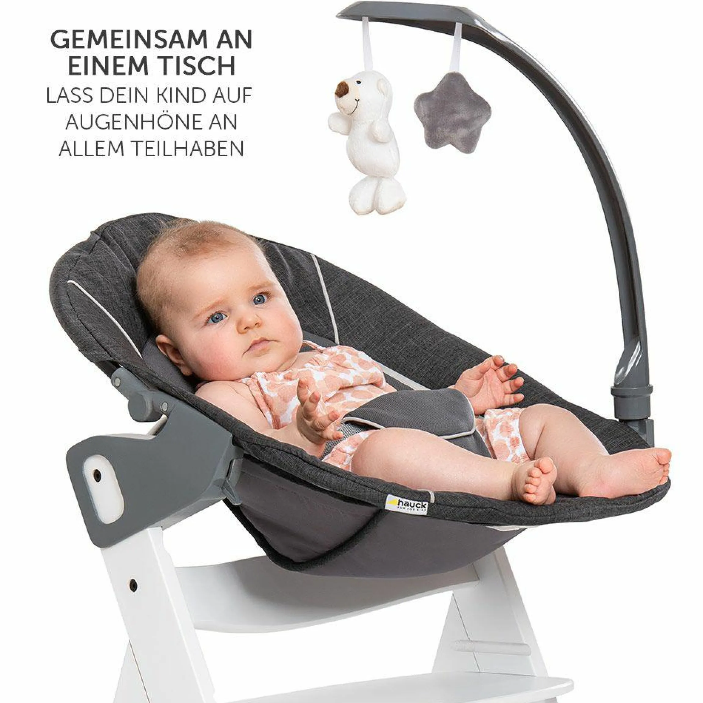 Alpha Plus Weiß Newborn Set Deluxe - 4-tlg. Hochstuhl + 2in1 Neugeboreneneinsatz (verstellbar) + Sitzpolster