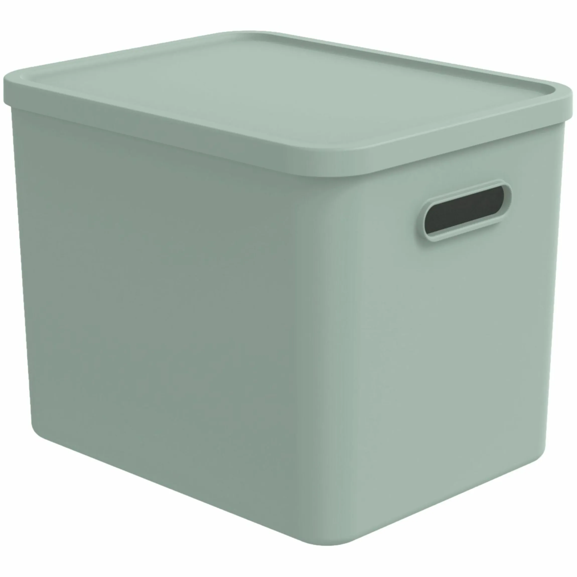 Aufbewahrungsbox L Kayo 27 l - Sage Green