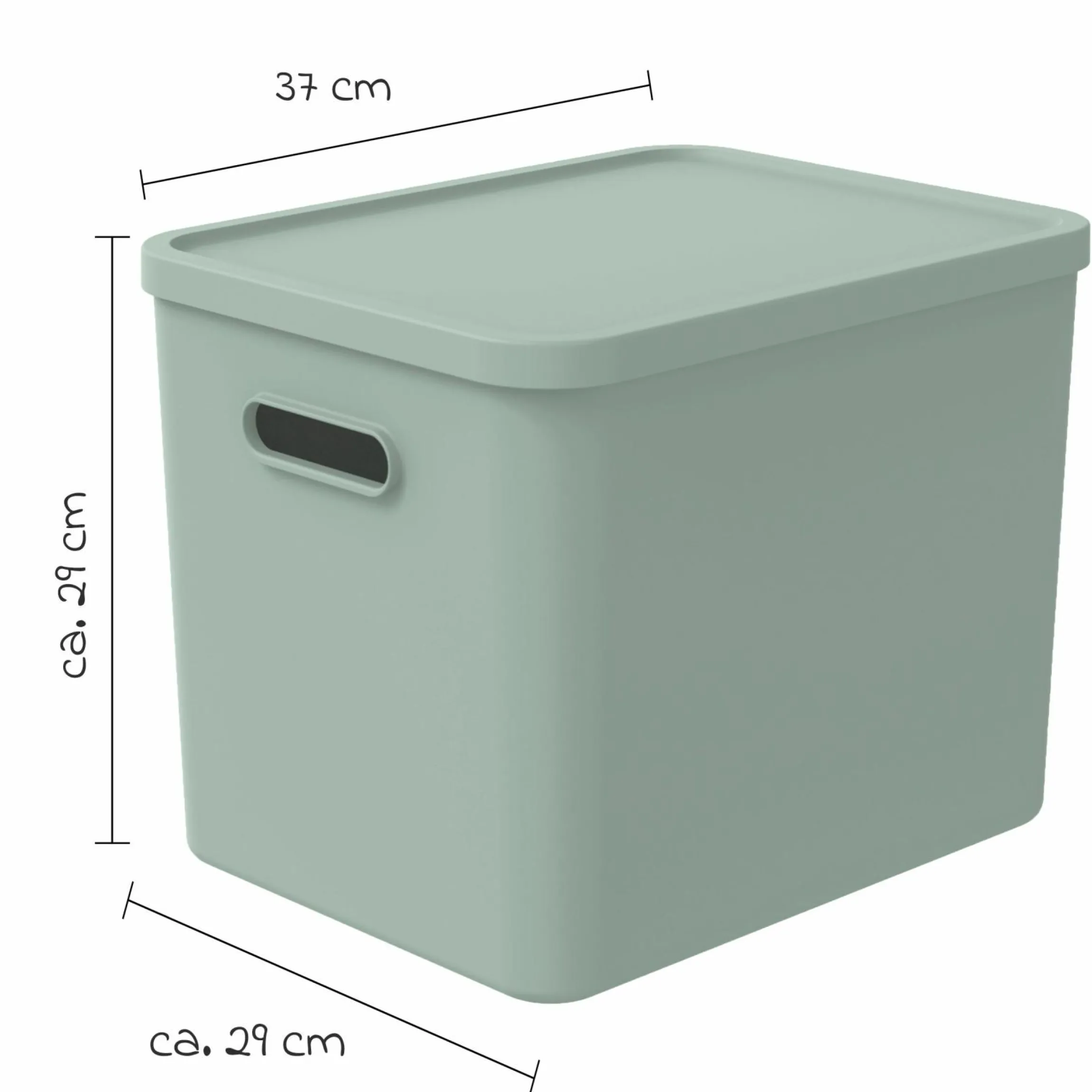 Aufbewahrungsbox L Kayo 27 l - Sage Green