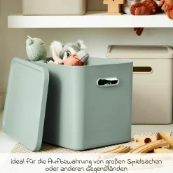 Aufbewahrungsbox L Kayo 27 l - Sage Green
