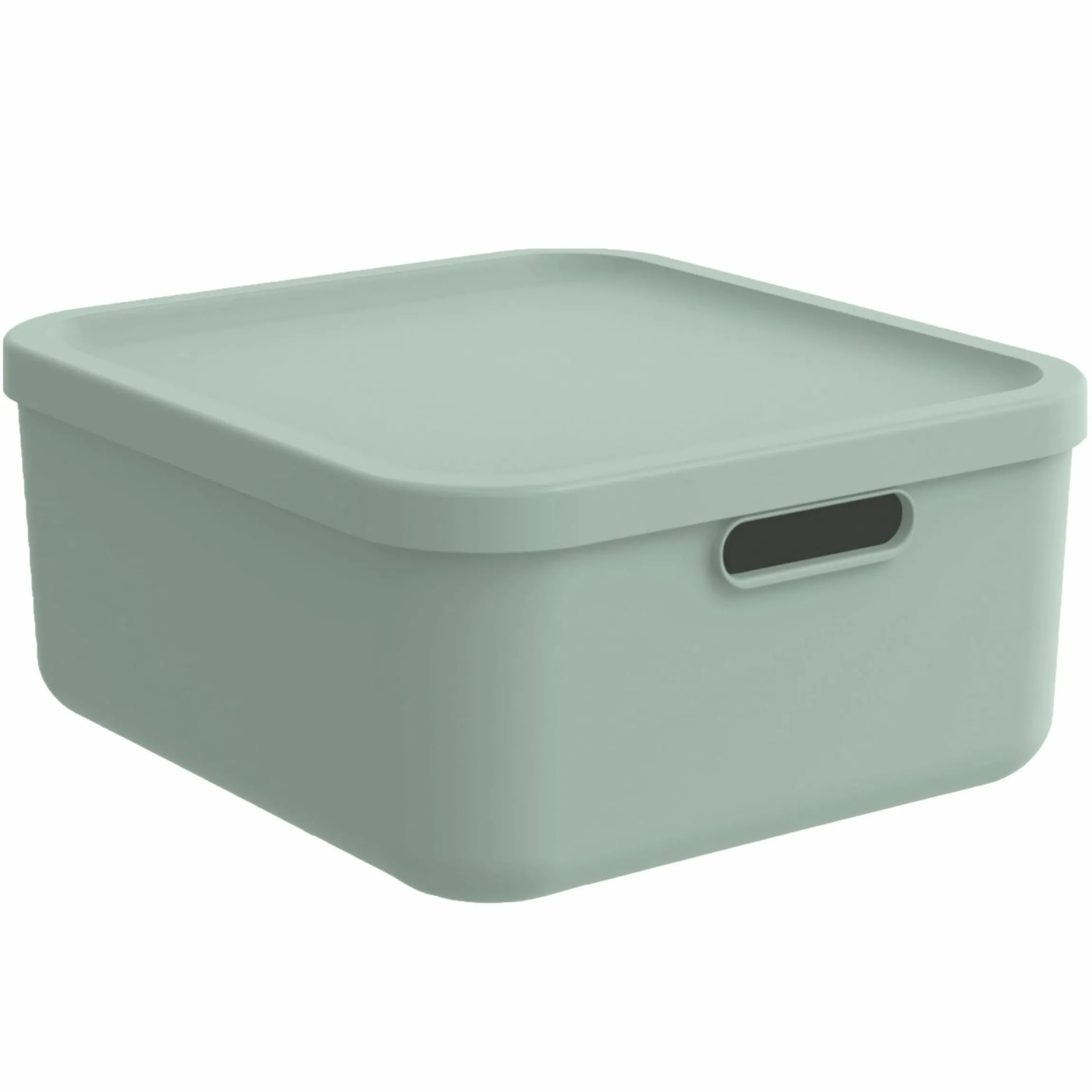 Aufbewahrungsbox M Kayo 20 l - Sage Green