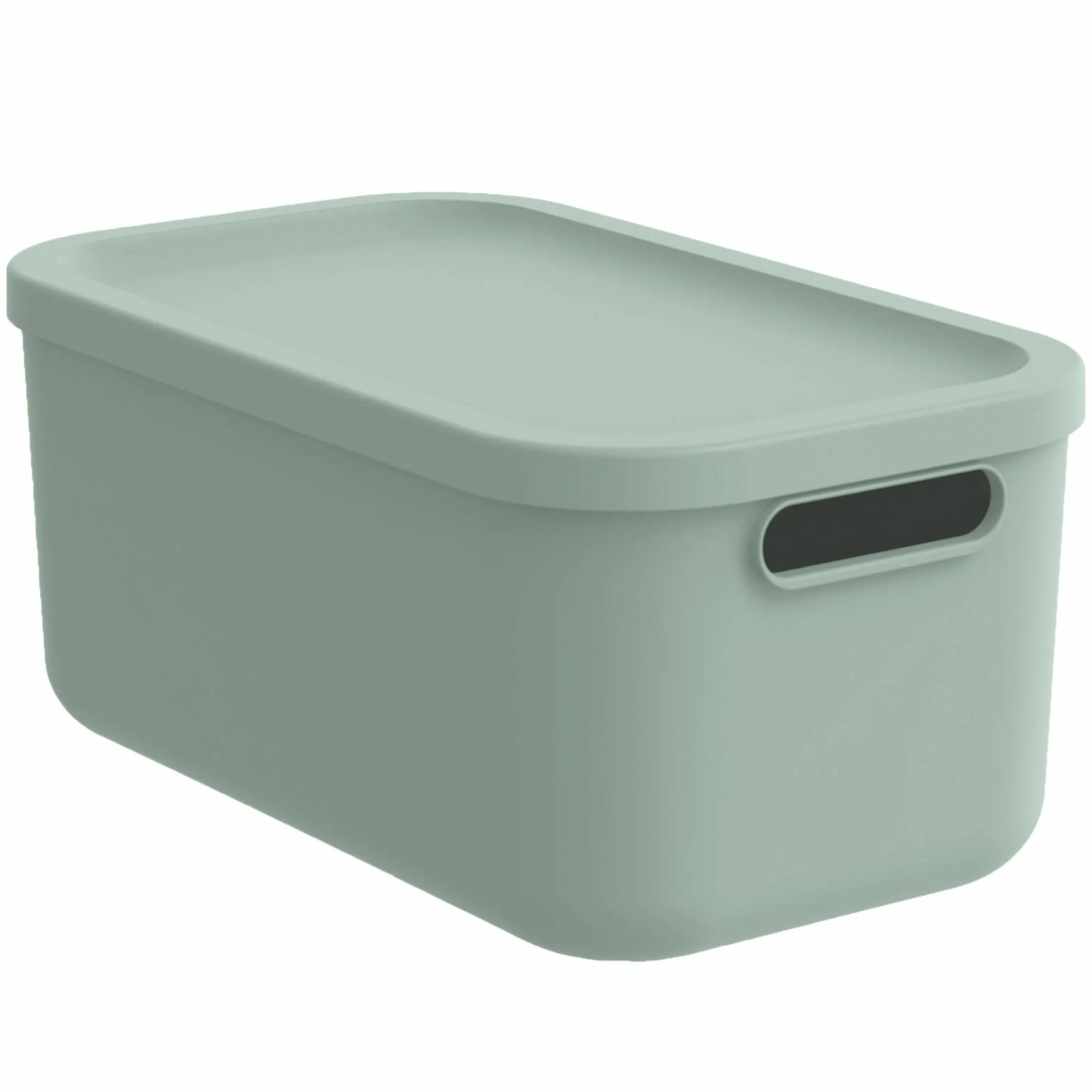 Aufbewahrungsbox S Kayo 12 l - Sage Green
