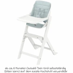 Baby- und Kleinkindset für Nesta Hochstuhl ab 6 Monate - 3 Jahre - Beyond Sky Grey - Kollektion 2025