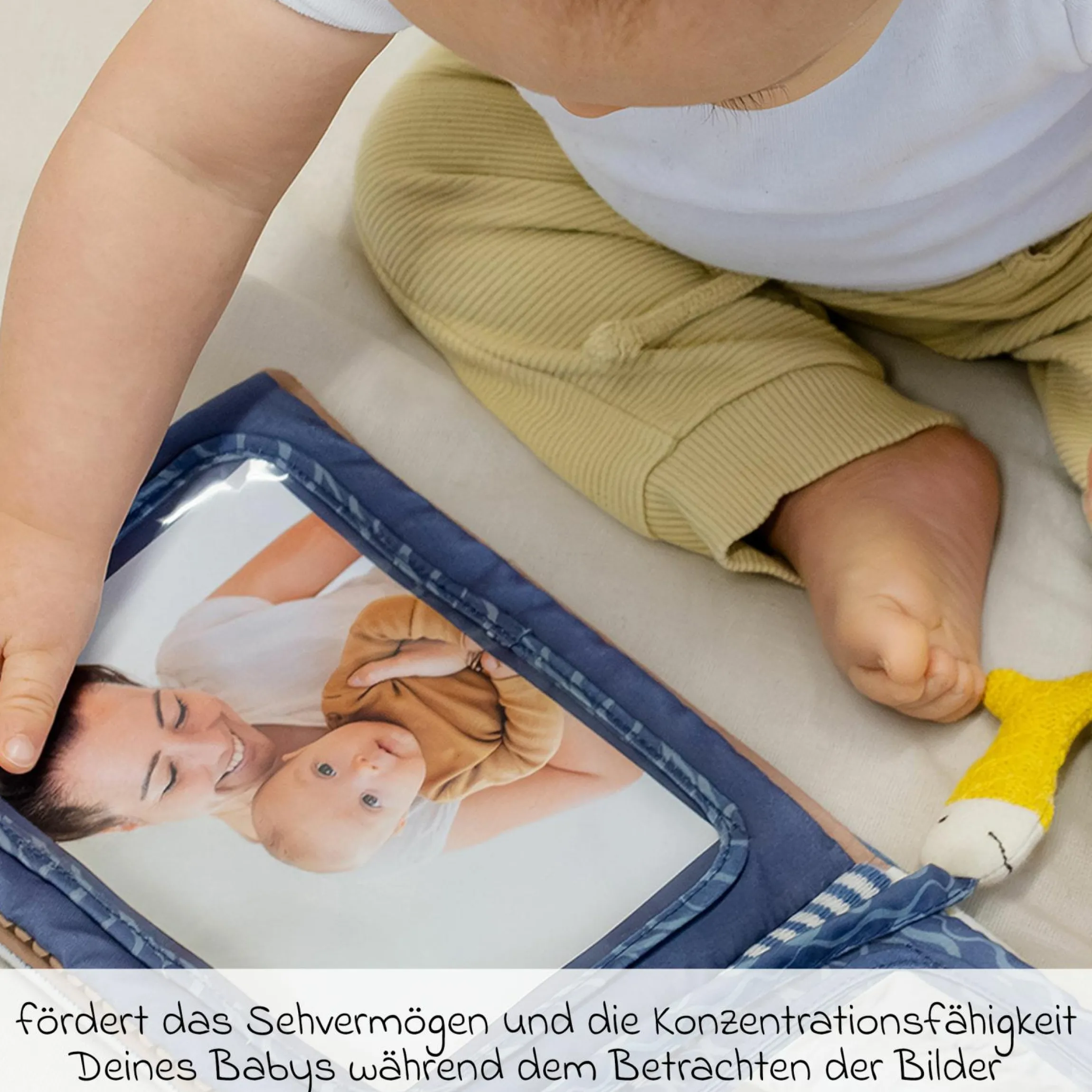 Baby-Fotoalbum - Otter