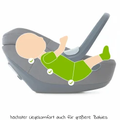 Babyschale Albert i-Size 1.2 ab Geburt - 18 Monate (40 cm - 85 cm, bis 13 kg) inkl. Neugeboreneneinlage, Sonnenverdeck & verstellbare Kopfstütze - Forest Fruits