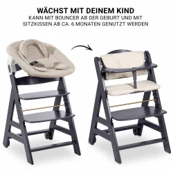 Beta Plus Dark Grey 5-tlg. Newborn Set - Hochstuhl + 2in1 Neugeborenen-Aufsatz & Wippe + Essbrett + Sitzkissen - Disney - Winnie the Pooh Beige