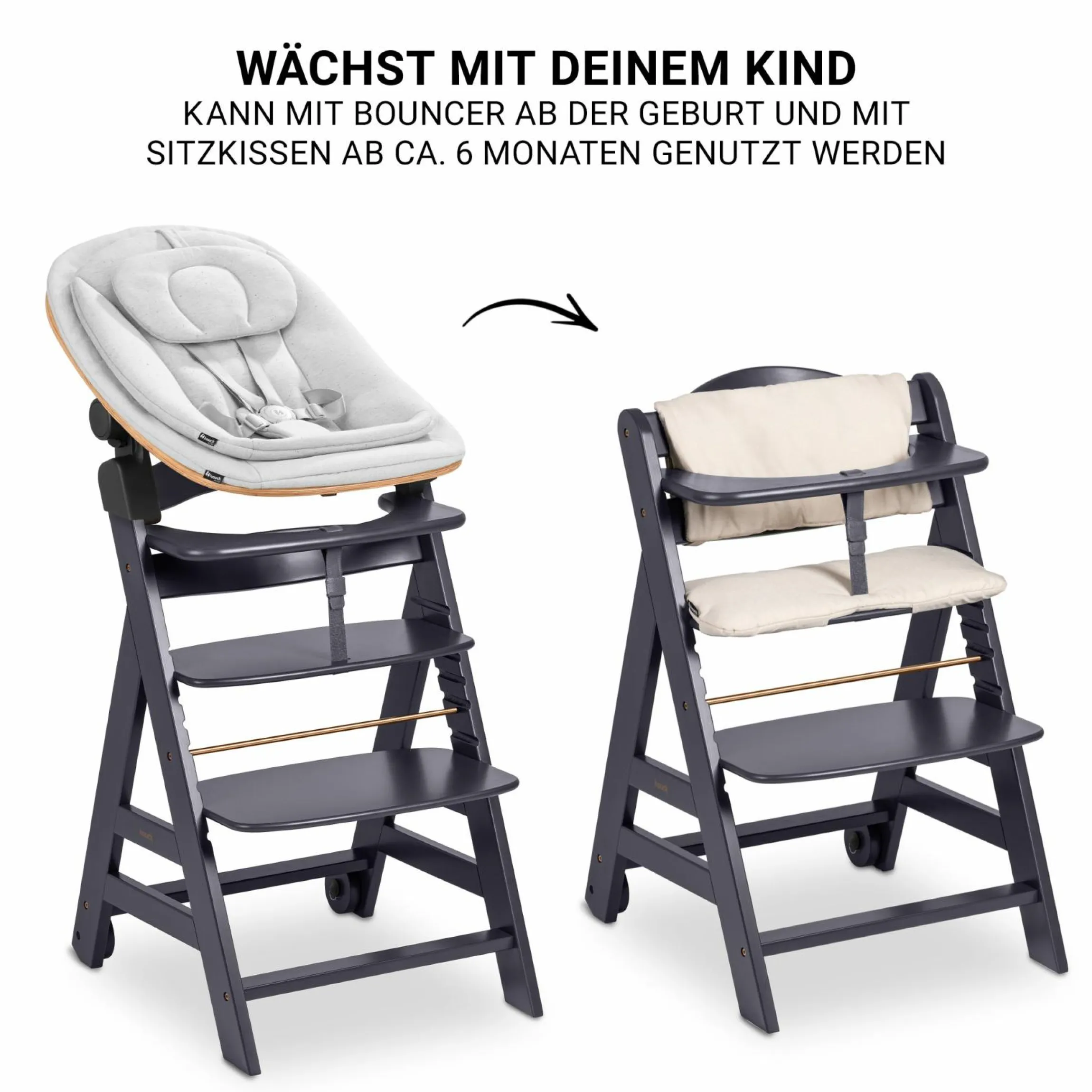 Beta Plus Dark Grey 5-tlg. Newbornset - Hochstuhl + 2in1 Babyaufsatz & Wippe Eco, Essbrett, Sitzkissen - Light Grey