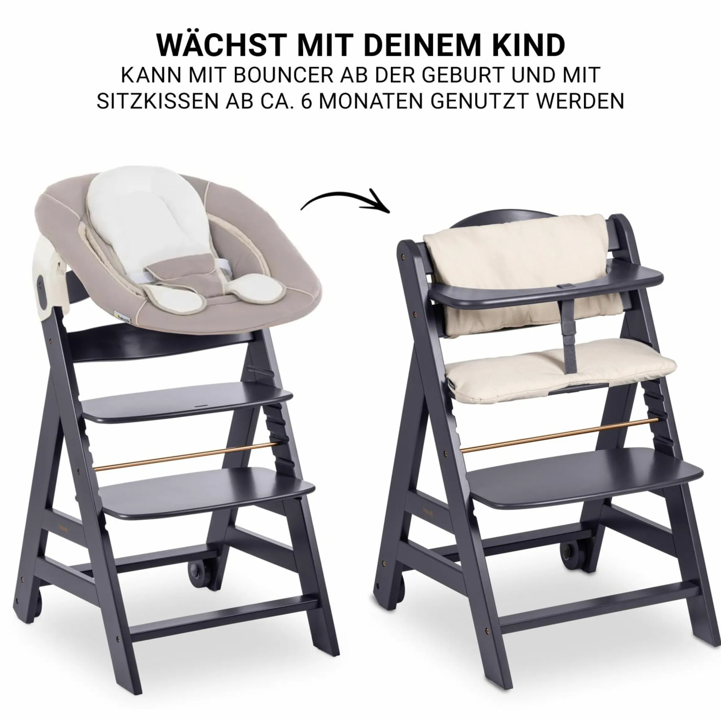 Beta Plus Dark Grey 5-tlg. Newborn Set - Hochstuhl + 2in1 Neugeborenen-Aufsatz & Wippe, Essbrett, Sitzkissen - Stretch Beige