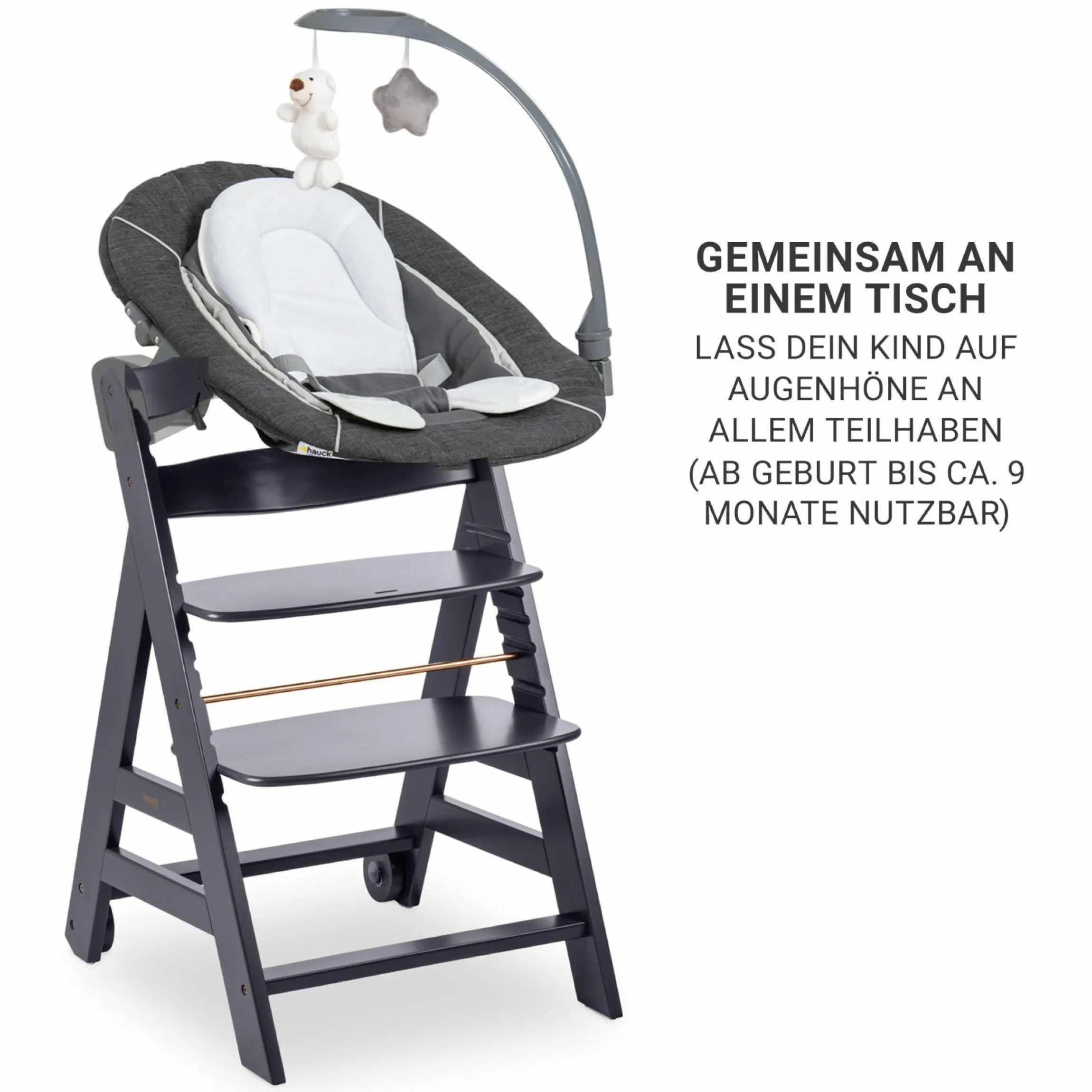 Beta Plus Dark Grey 5-tlg. Newborn Set - Hochstuhl + 2in1 Neugeborenen-Aufsatz & Wippe Deluxe, Essbrett, Sitzkissen - Melange Grey