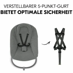 Bouncer 2in1 Premium (verstellbarer Neugeborenenaufsatz & Wippe) für Alpha & Beta Hochstuhl - Dark Grey