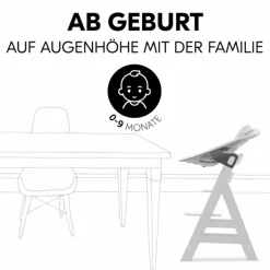 Bouncer 2in1 Premium (verstellbarer Neugeborenenaufsatz & Wippe) für Alpha & Beta Hochstuhl - Light Grey