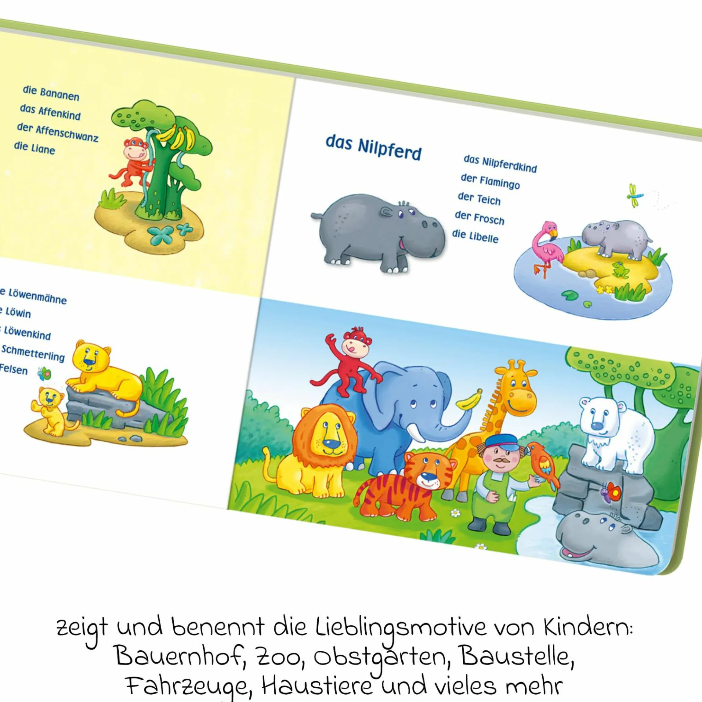 Buch Meine ersten Wörter - Wie heißt das?