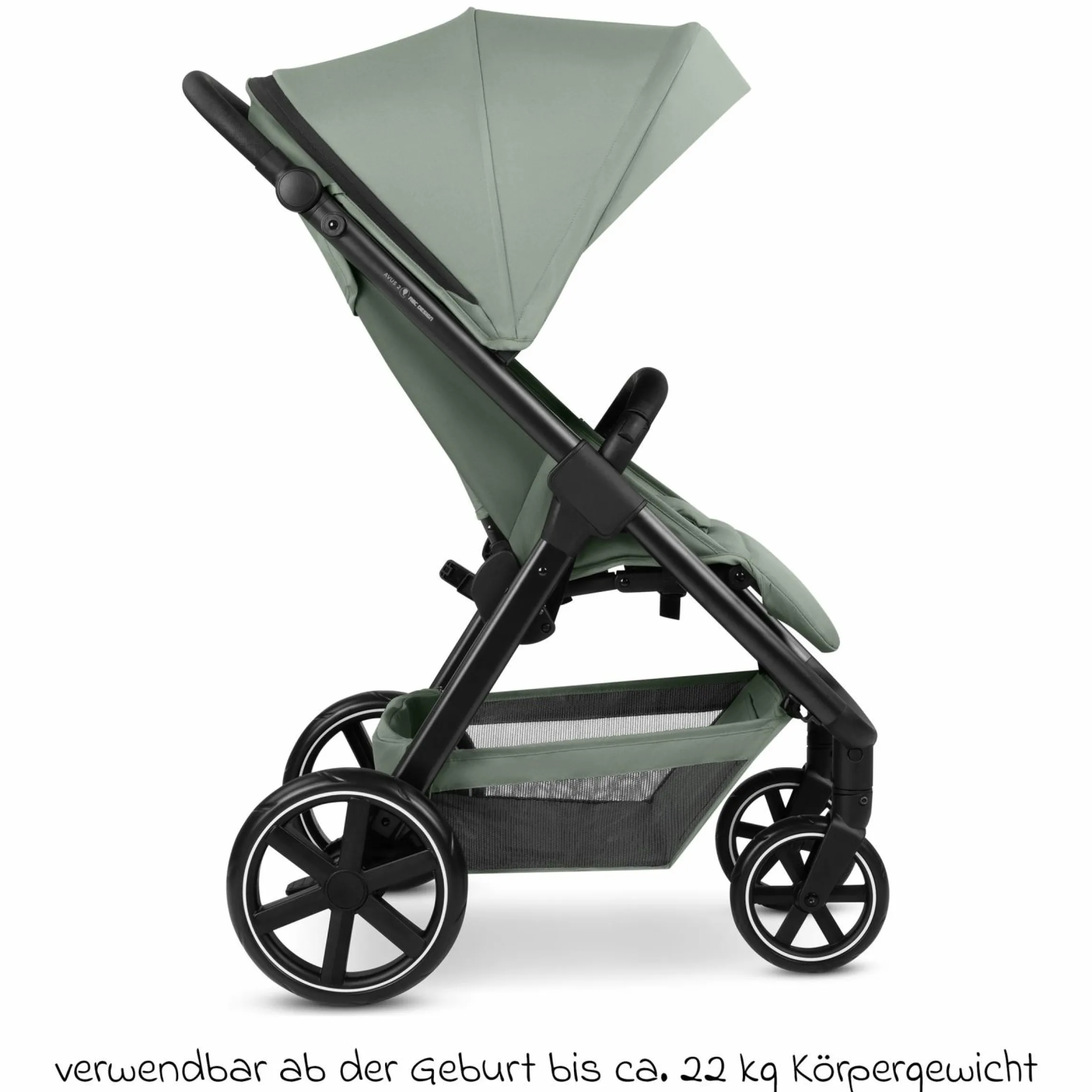 Buggy & Sportwagen Avus 2 mit Einhand-Faltung und höhenverstellbarem Schieber - Pine - Kollektion 2025