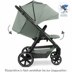 Buggy & Sportwagen Avus 2 mit Einhand-Faltung und höhenverstellbarem Schieber - Pine - Kollektion 2025