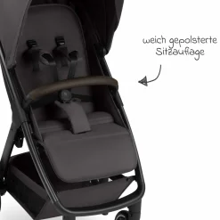 Buggy & Sportwagen Avus 2 mit Einhand-Faltung und höhenverstellbarem Schieber - Falcon - Kollektion 2025