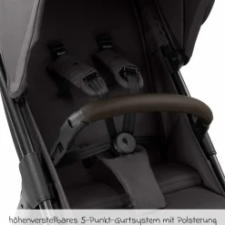 Buggy & Sportwagen Avus 2 mit Einhand-Faltung und höhenverstellbarem Schieber - Falcon - Kollektion 2025