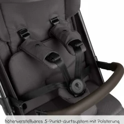 Buggy & Sportwagen Ping 3 Trekking bis 22 kg mit flacher Liegeposition inkl. Sitzeinlage, Transporttasche & Tragegurt - Falcon - Kollektion 2025