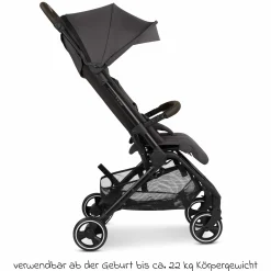 Buggy & Sportwagen Ping 3 Travel bis 22 kg mit flacher Liegeposition inkl. Transporttasche & Tragegurt - Falcon - Kollektion 2025