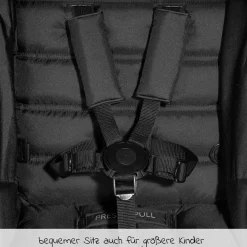 Buggy & Sportwagen Rapid 4 (bis 25 kg) - Grey