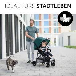 Buggy & Sportwagen Rapid 4 (bis 25 kg) - Petrol