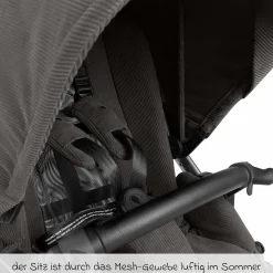 Buggy & Sportwagen Samba 2 mit Sportsitz (ab ca. 9 Monate) - Almond - Kollektion 2025