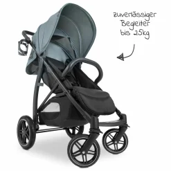 Buggy Rapid 4D (bis 25 kg) - XL Verdeck & All-Terrain Bereifung - Jungle Green