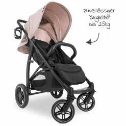Buggy Rapid 4D (bis 25 kg) - XL Verdeck & All-Terrain Bereifung - Dutsy Rose
