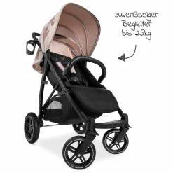 Buggy Rapid 4D (bis 25kg) XL Verdeck & All-Terrain Bereifung - Disney - Minnie Mouse Rose