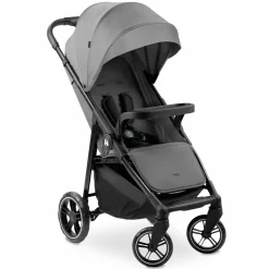 Buggy Shop N Care - Grey