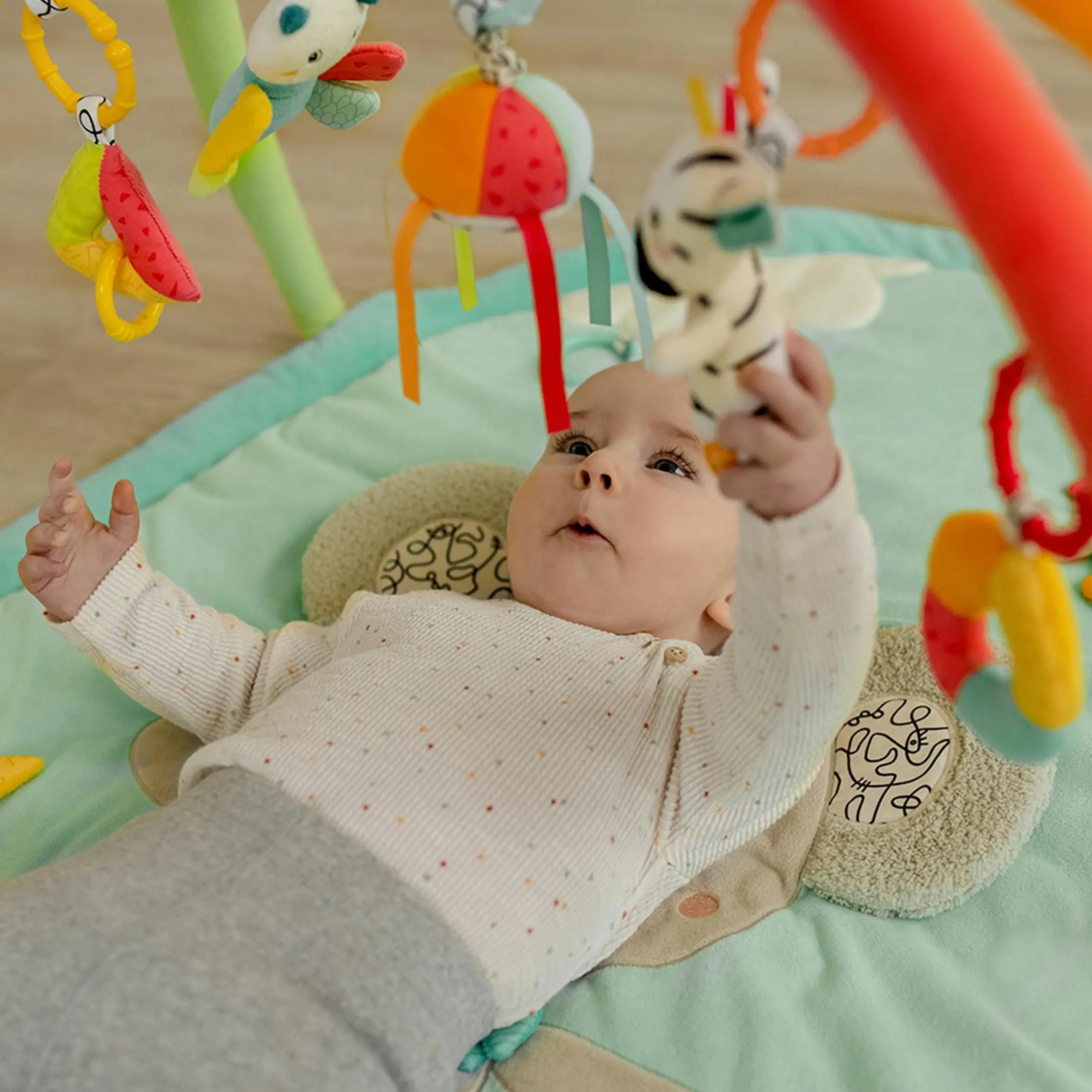 3D Activity-Decke Koala - DoBabyDoo