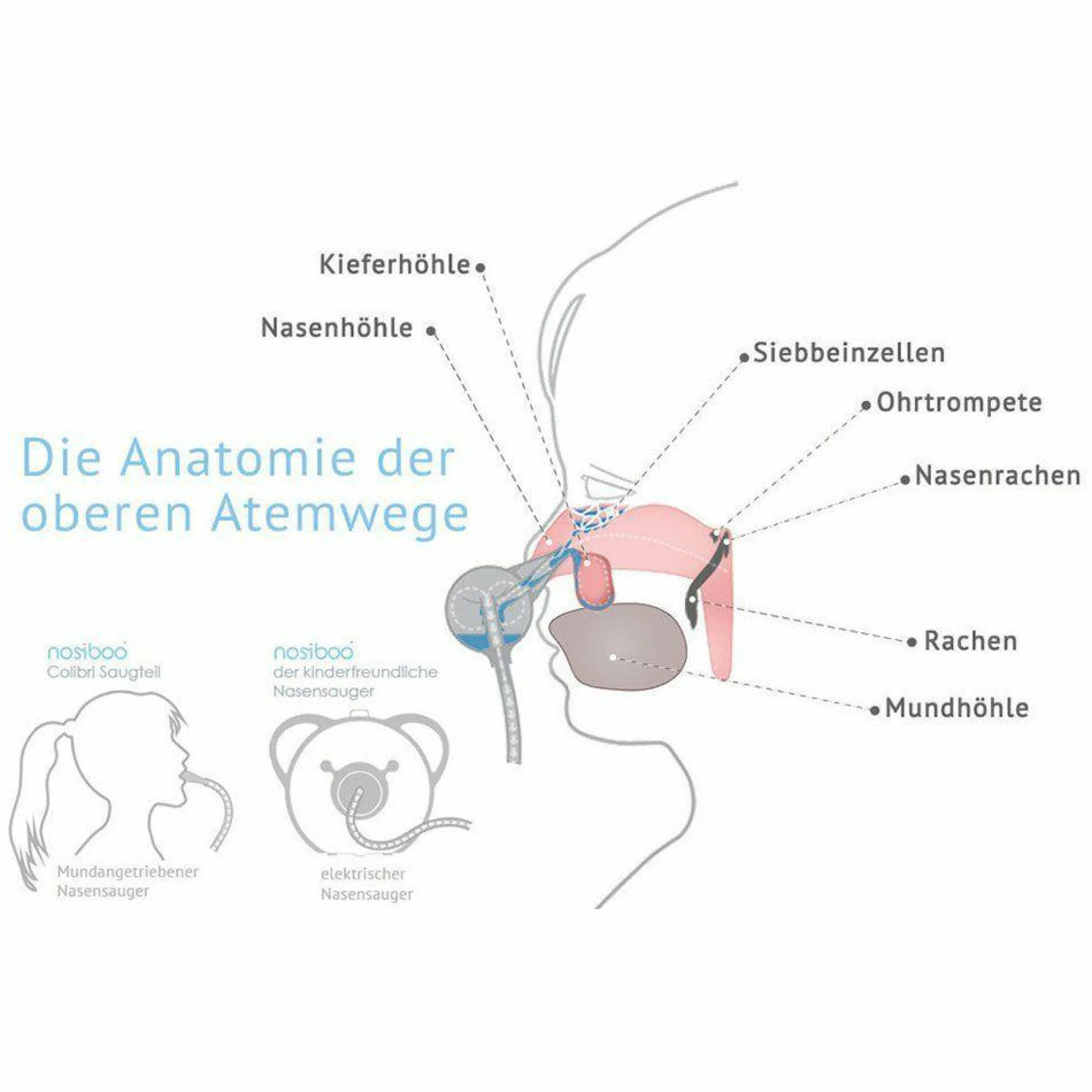 Elektrischer Nasensauger Pro - Blau