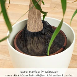 3er Pack Pflanzenschutznetz für Blumentöpfe mit einem Durchmesser bis zu 30 cm - Schwarz - Kollektion 2024