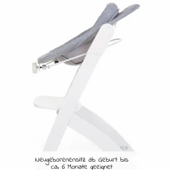 Evosit Newborn-Set - mitwachsender Hochstuhl mit abnehmbarem Essbrett + Neugeborenenaufsatz - White