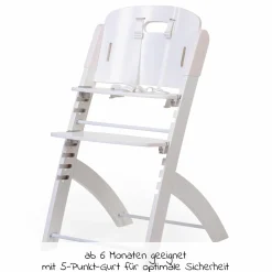 Evosit Newborn-Set - mitwachsender Hochstuhl mit abnehmbarem Essbrett + Neugeborenenaufsatz - White