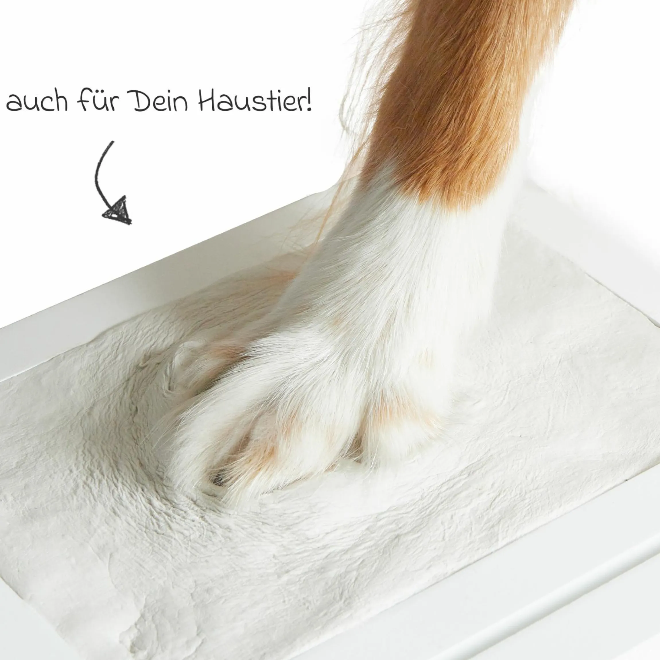 3-Fach-Rahmen für Foto und Abdrücke - Weiß