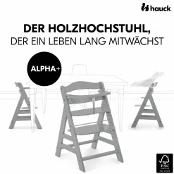 Hochstuhl Alpha Plus - Grey
