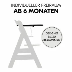 Hochstuhl Alpha Plus Black - im Sparset inkl. Essbrett Click Tray und Sitzkissen - Jersey Charcoal