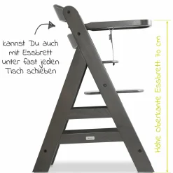 Hochstuhl Alpha Plus Charcoal im Sparset inkl. Sitzkissen und Click Tray Essbrett