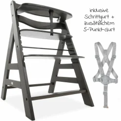 Hochstuhl Alpha Plus Charcoal im Sparset inkl. Sitzkissen und Click Tray Essbrett