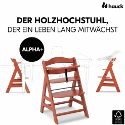 Hochstuhl Alpha Plus Cork - im Sparset inkl. Holz-Essbrett + Sitzkissen - Charcoal