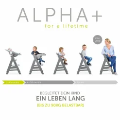 Hochstuhl Alpha Plus Grey - im Sparset inkl. Sitzkissen Jersey Charcoal - Grau